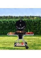 Гриль-барбекю садовий вугільний переносний Springos G0014