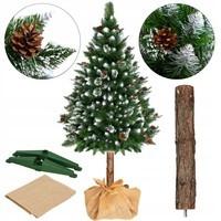 Штучна ялинка Springos 160 см сосна зі стволом засніжена з шишками CT0048