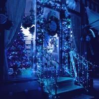 Гірлянда вулична (зовнішня) Springos 18 м 300 LED CL0327 Blue