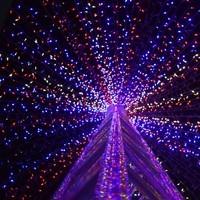 Гірлянда вулична (зовнішня) Springos 30 м 500 LED CL0526 Mix