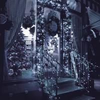 Гірлянда вулична (зовнішня) Springos 60 м 1000 LED CL1004 Cold White