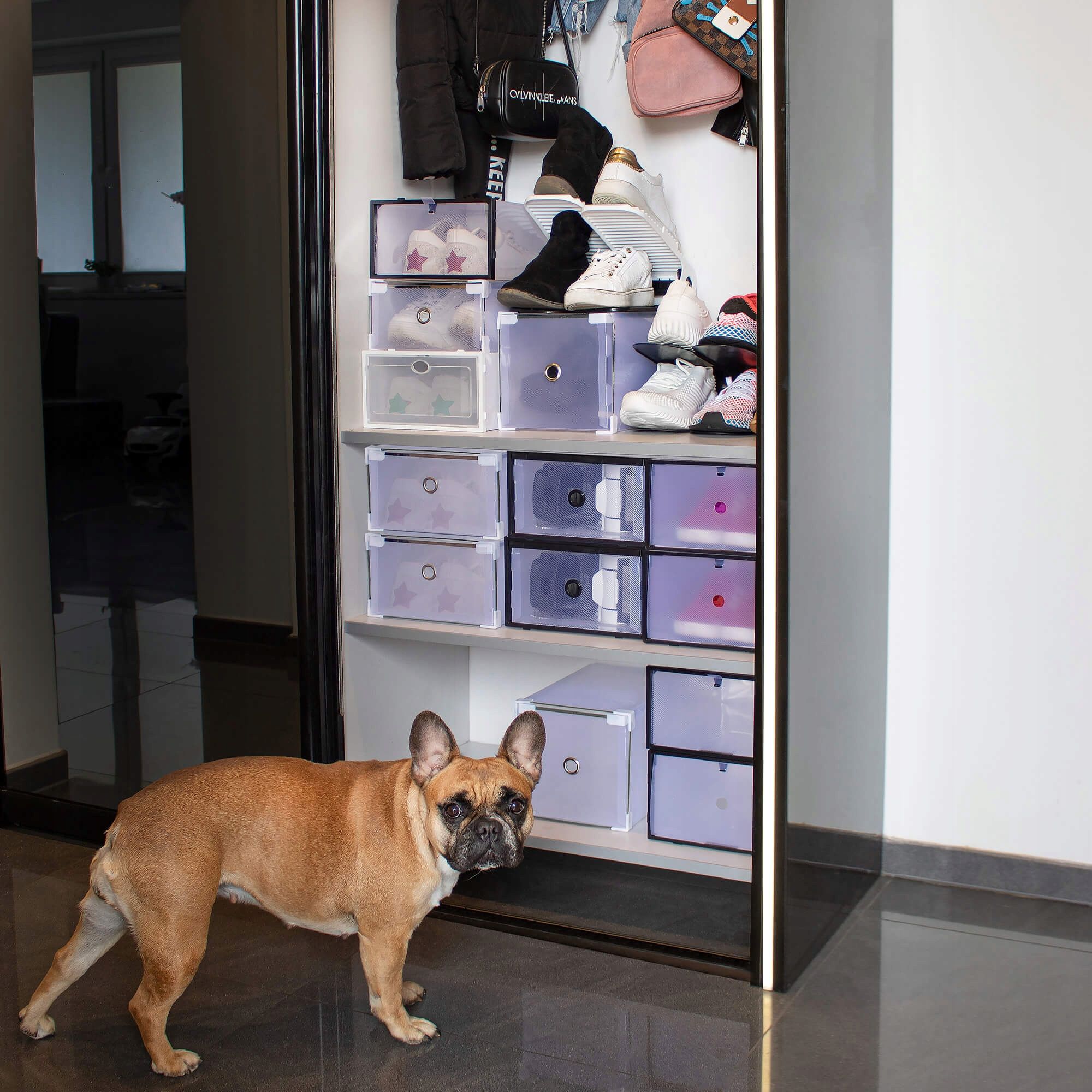 Органайзер (коробка) для взуття 33 x 23.5 x 13.5 см Springos HA3008