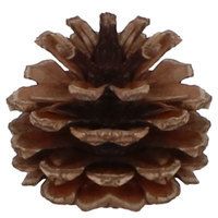 Набір ялинкових іграшок Springos d=3-6 см, h=4-8 см 101 шт CA0154