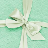 Плед-покривало Springos Extra Soft 200 x 220 см HA7157