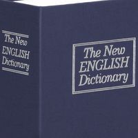 Книга-сейф (кешбокс) Springos 18 x 11.5 x 5.5 см для зберігання грошей та цінностей HA5045