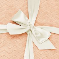 Плед-покривало Springos Extra Soft 70 x 160 см HA7124